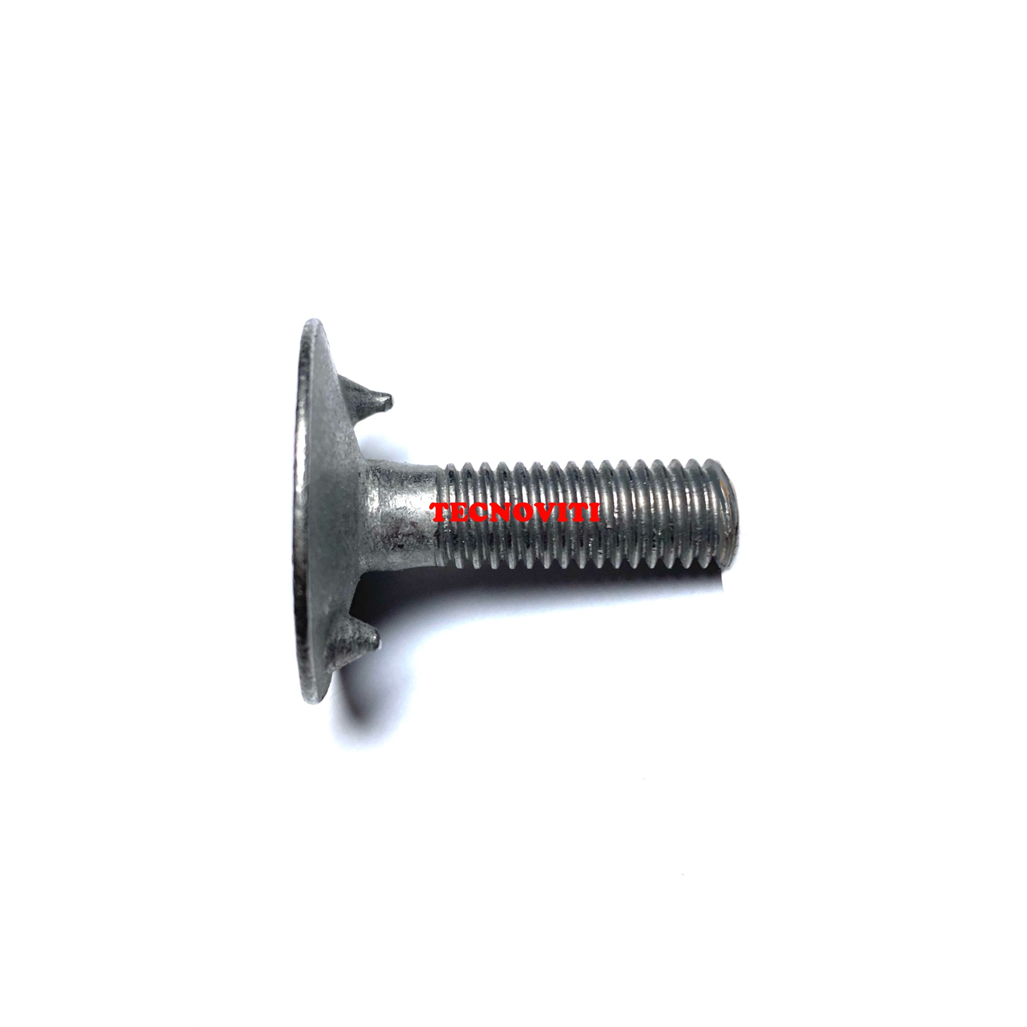 Bullone per elevatore a tazze con dado e rondella a coppa. DIN 15237. TECNOCODE: 15237