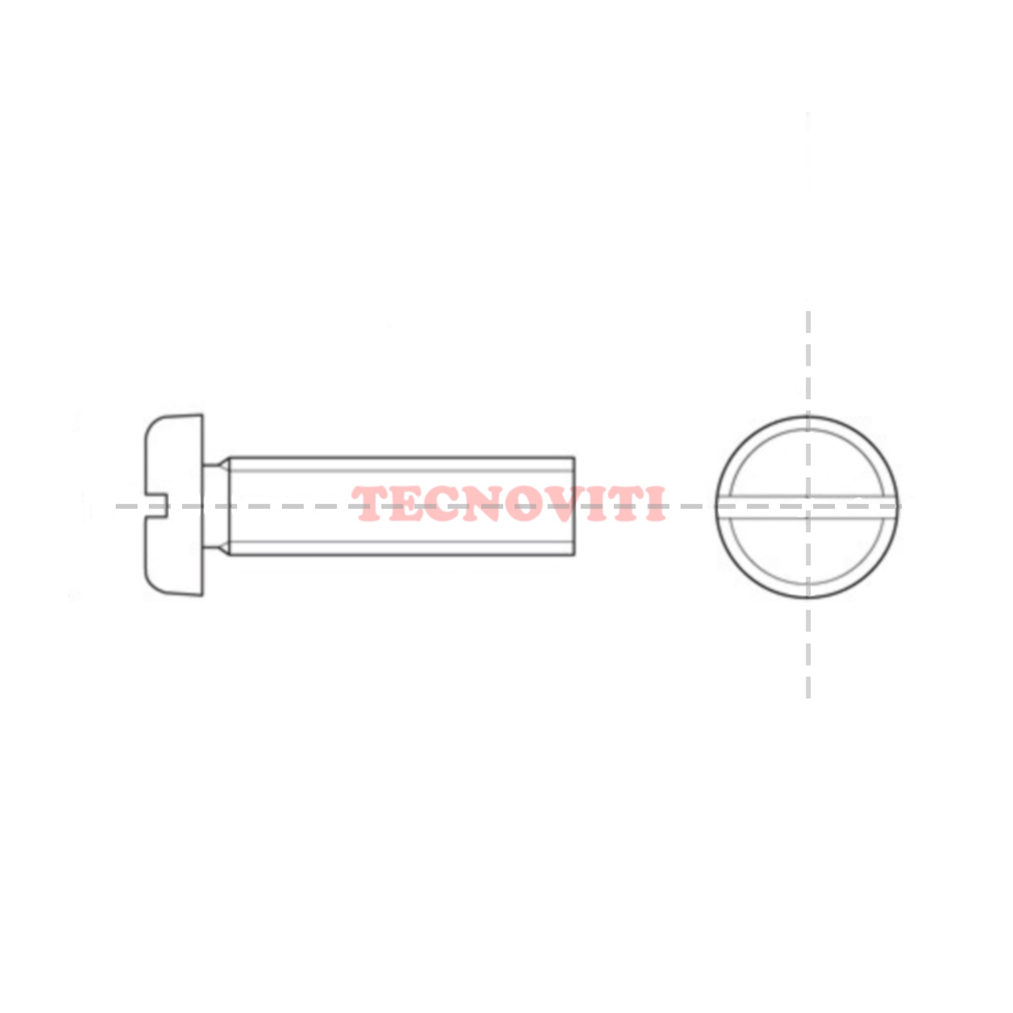 Vite a testa bombata con intaglio. DIN 85