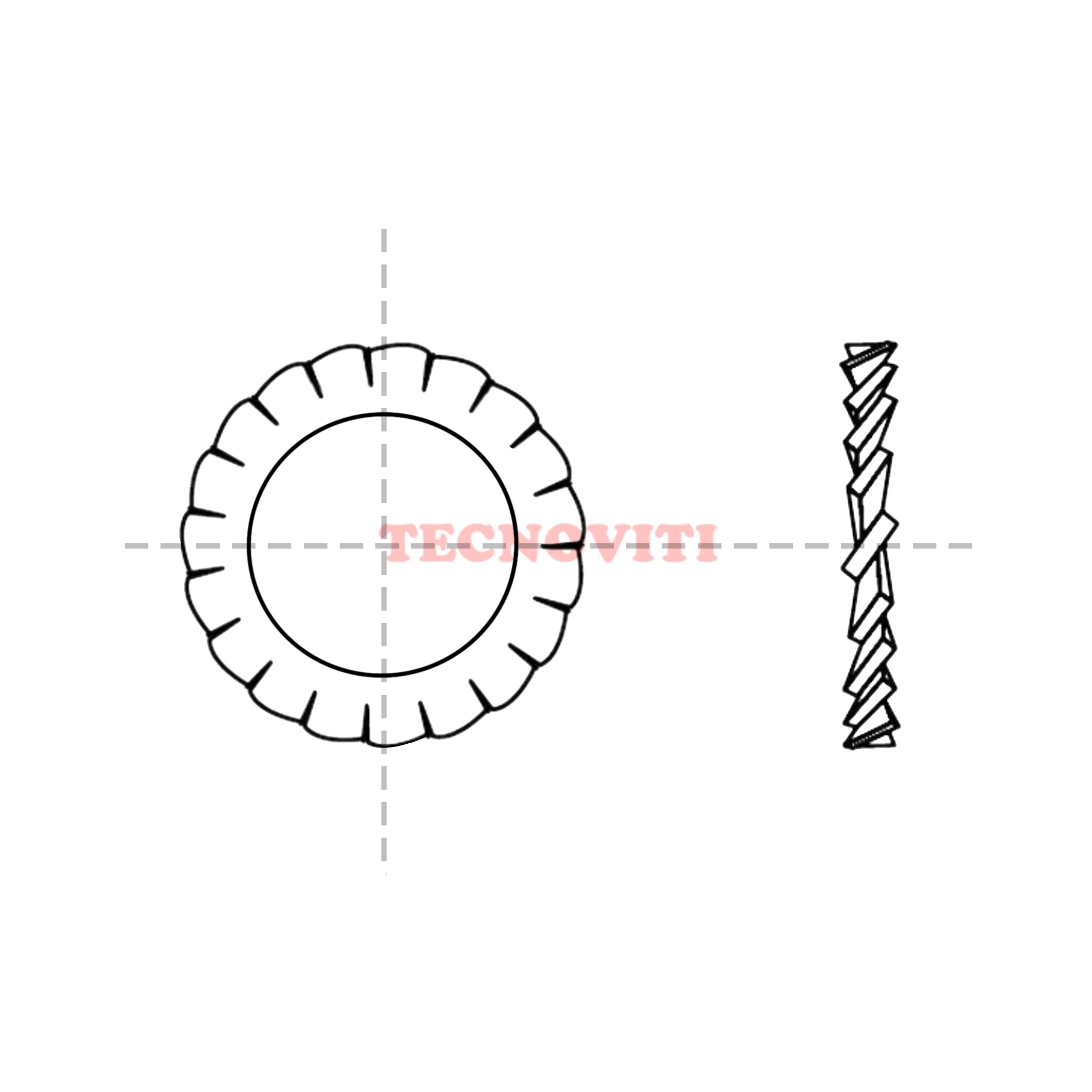 Rondella elastica a dentellatura esterna con denti sovrapposti. DIN  6798 Forma A